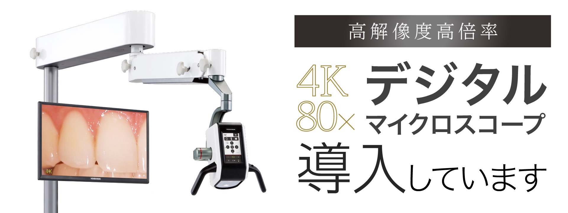 高解像度高倍率 4K80×デジタルマイクロスコープ導入しています